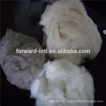 good price 100% pure mongolia cashmere fiber